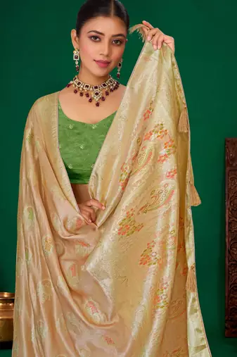 Beige meenakari zari weaving zari tissue silk saree with blouse