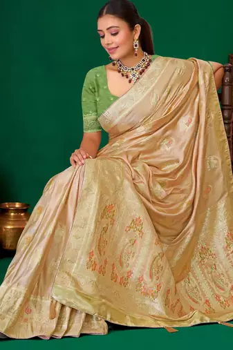 Beige meenakari zari weaving zari tissue silk saree with blouse
