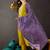 Floral embroidered zari straight kurta with trousers and dupatta