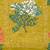 Women's  Cotton Unstitched Salwar Suit Material With Dupatta