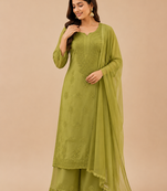 Olive faux georgette embroidered palazzo suit set