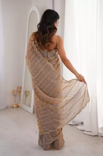 Chiku color stylish bollywood looks fendy satin fabric saree