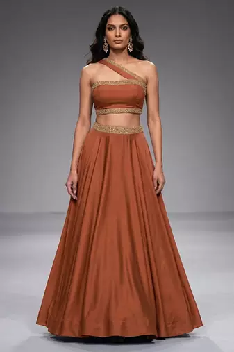 Brown Embroidered Dupion Silk Lehenga Set