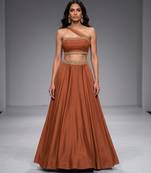 Brown Embroidered Dupion Silk Lehenga Set