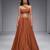 Brown Embroidered Dupion Silk Lehenga Set