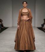 Brown Dupion Silk Embroidered Blouse Lehenga Set