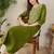 Green floral embroidered thread work round neck straight kurta