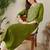 Green women floral embroidered thread work kurta