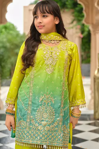 Green chinon with embroidery
