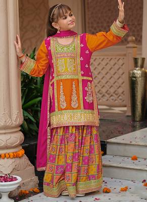 Multicolor chinon with embroidery 2