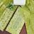 Green color smart and ethnic bnarasi cotton salwar kameez