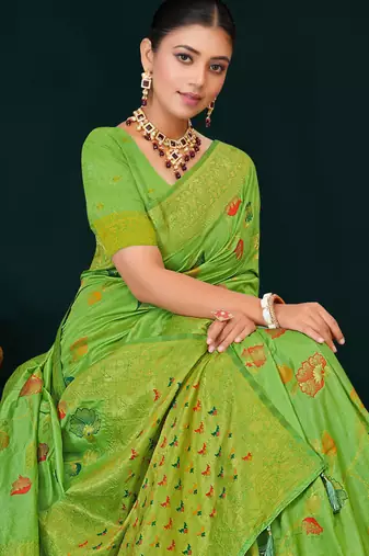 Light green dola silk saree with multicolor floral zari and thread work