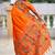 Orange silk blend saree with peacock motif zari border
