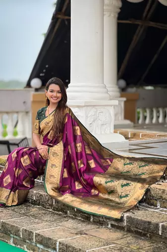 Festive wine banarasi silk blend saree with colorful meenakari border
