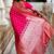 Ranipink soft banarasi silk blend saree with meenakari zari weaving