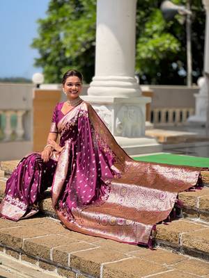 Wine soft banarasi silk blend saree with meenakari zari weaving 4