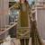 Cotton printed straight kurti-pant-dupatta set