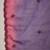 Purple floral embroidered zari straight kurta with trouser & dupatta