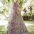 Embroidered Thread Work Semi-Stitched Lehenga & Unstitched Blouse With Dupatta
