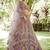 Embroidered Semi-Stitched Lehenga & Blouse With Dupatta
