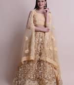 Embroidered Semi-Stitched Lehenga & Unstitched Blouse With Dupatta