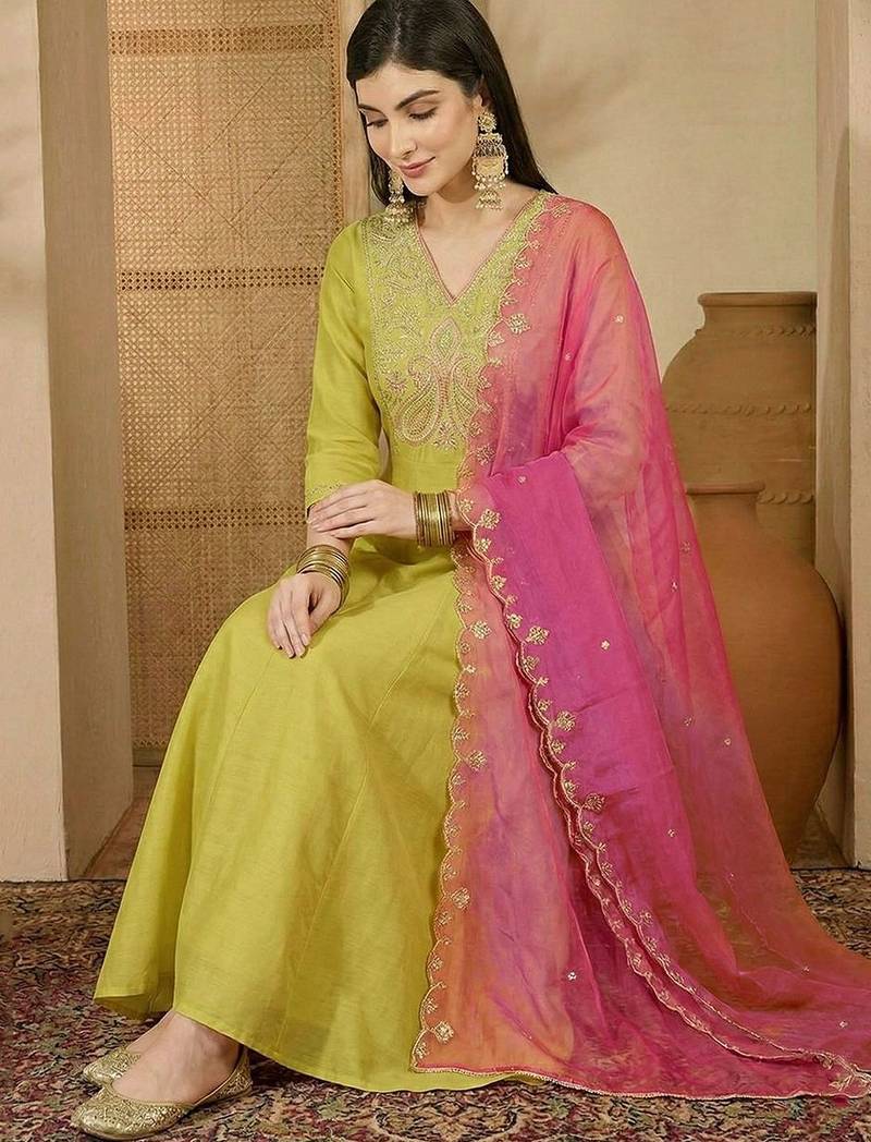 Embroidered v-neck gown ethnic dress with dupatta