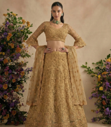 Golden Pure Soft Heavy Butterfly Net Sequins Embroidery Work Bridal Lehenga Choli