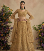 Golden Pure Soft Heavy Butterfly Net Sequins Embroidery Work Bridal Lehenga Choli