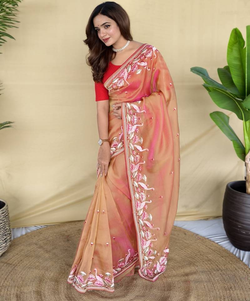 Orange embroiedery work two tone silk saree