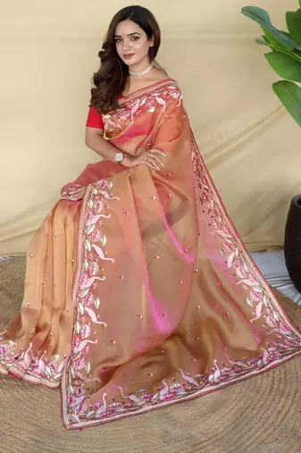 Orange embroiedery work two tone silk saree