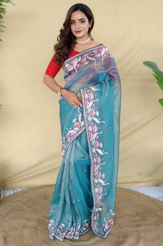 Sky blue embroiedery work two tone silk saree