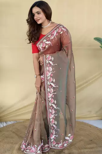 Light brown embroiedery work two tone silk saree