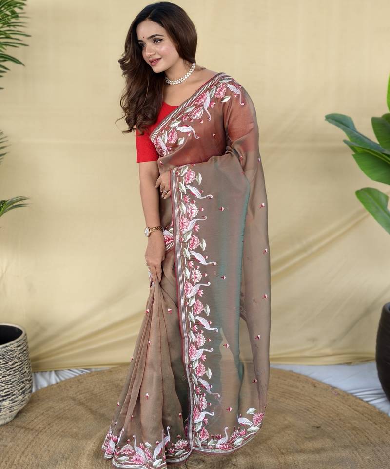 Light brown embroiedery work two tone silk saree