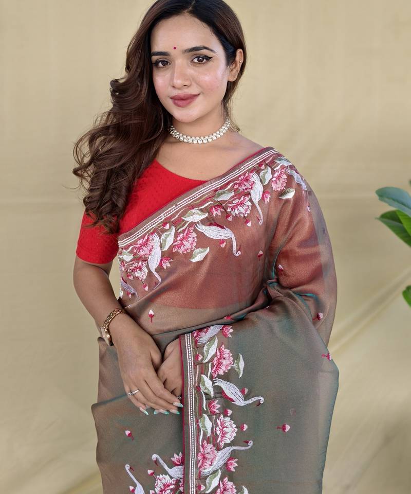 Light brown embroiedery work two tone silk saree