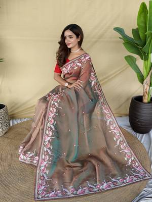 Light brown embroiedery work two tone silk saree 4