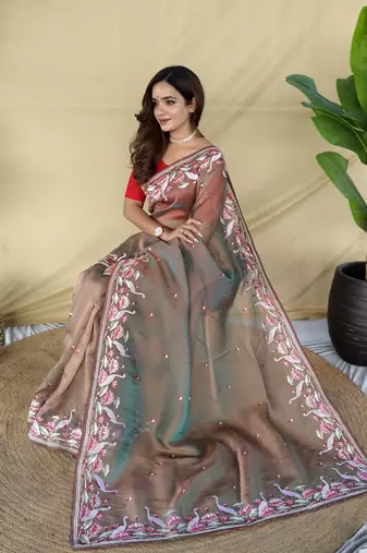 Light brown embroiedery work two tone silk saree