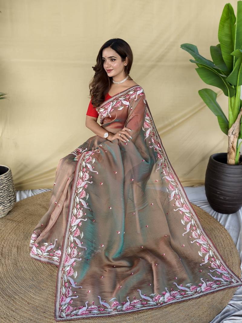 Light brown embroiedery work two tone silk saree