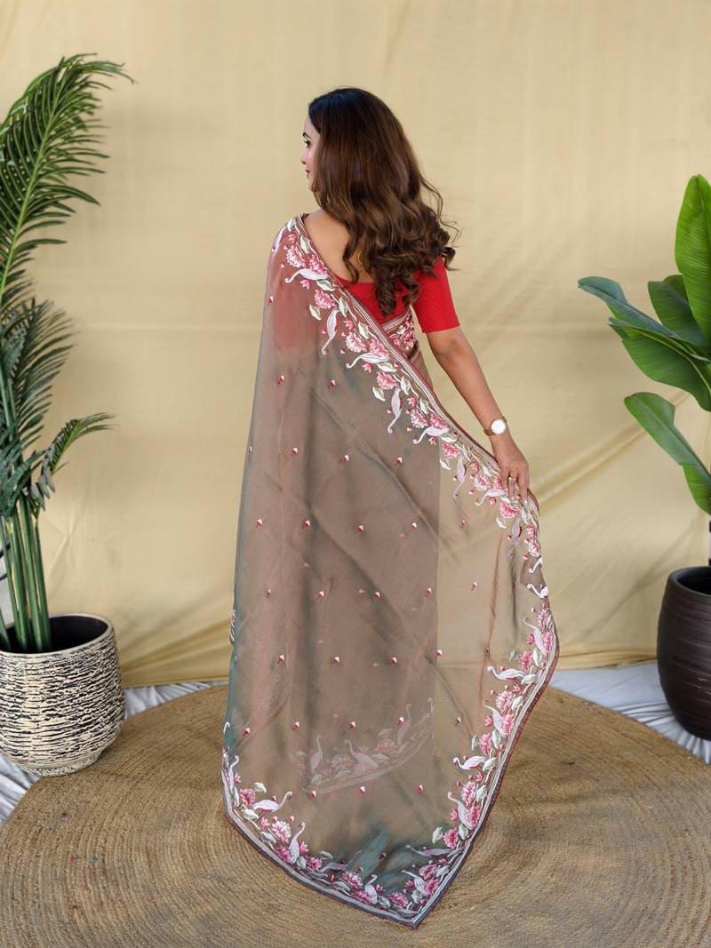 Light brown embroiedery work two tone silk saree