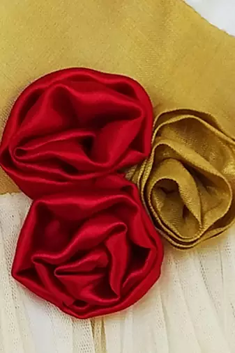Gold white net sleeveless red flower party frock for girls