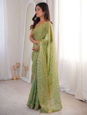 Green fendy satin sequence embroidered saree 2