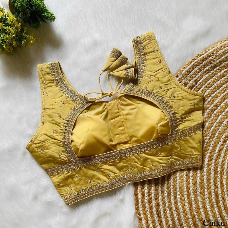 Beige silk blouse for women fancy saree blouse