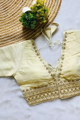 Beige tissue blouse for women printed saree blouse