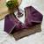 Wine tissue blouse for women stylish saree blouse