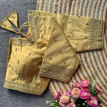 Beige silk blouse for women plain saree blouse 1