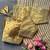 Beige silk blouse for women plain saree blouse
