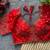 Red silk blouse for women traditional saree blouse