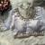 Grey silk blouse for women thread saree blouse