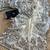 White color star georgette embroidered saree with un-stitched blouse