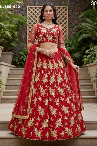 red net embroidered lehenga choli