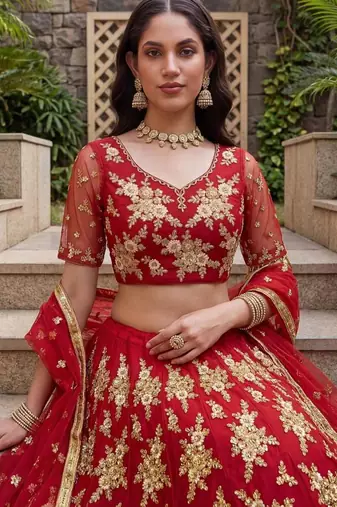 red net embroidered lehenga choli